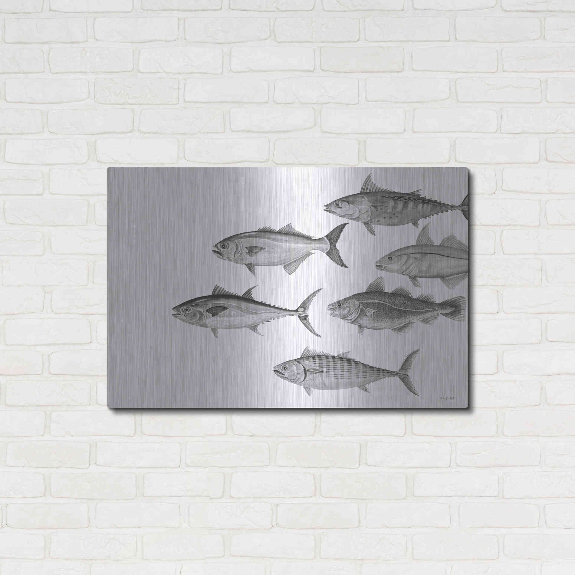Luxe Metal Art 'Variety of Fish II' by Cindy Jacobs, Metal Wall Art,36x24