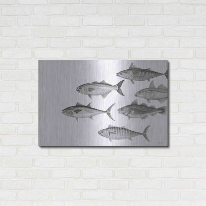 Luxe Metal Art 'Variety of Fish II' by Cindy Jacobs, Metal Wall Art,36x24