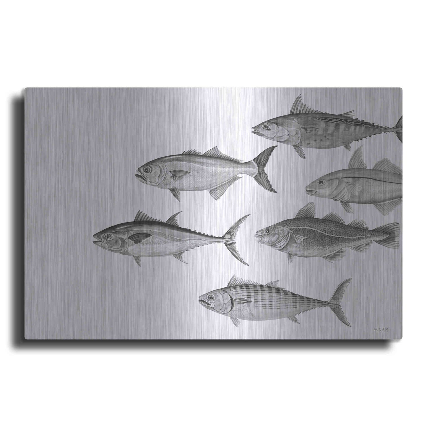 Luxe Metal Art 'Variety of Fish II' by Cindy Jacobs, Metal Wall Art