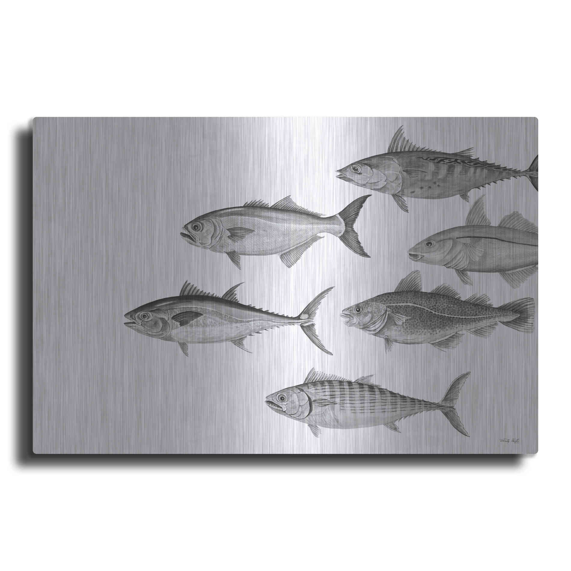Luxe Metal Art 'Variety of Fish II' by Cindy Jacobs, Metal Wall Art