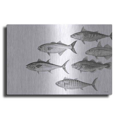 Luxe Metal Art 'Variety of Fish II' by Cindy Jacobs, Metal Wall Art