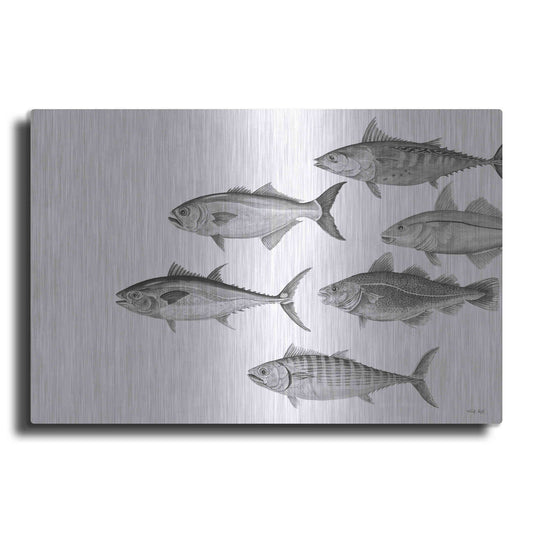 Luxe Metal Art 'Variety of Fish II' by Cindy Jacobs, Metal Wall Art