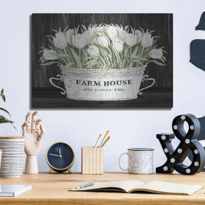 Luxe Metal Art 'Farmhouse Tulips' by Cindy Jacobs, Metal Wall Art,16x12