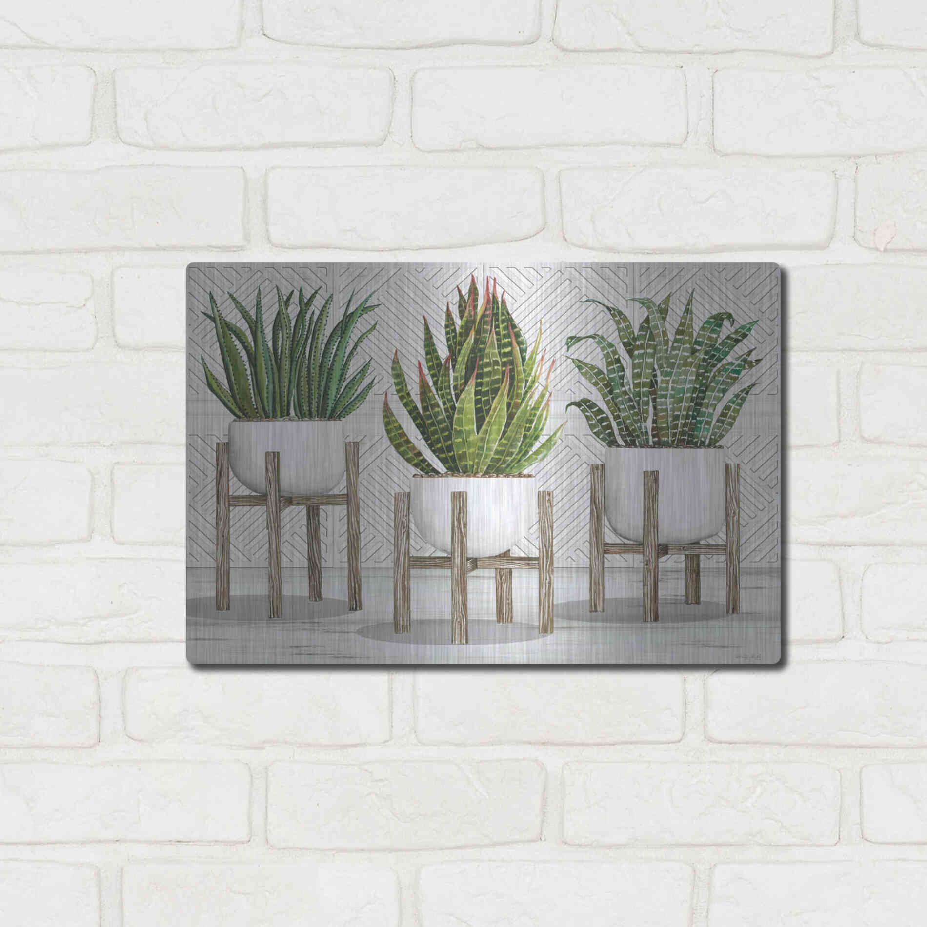 Luxe Metal Art 'Succulent Trio on Stands' by Cindy Jacobs, Metal Wall Art,16x12