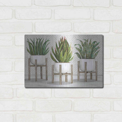 Luxe Metal Art 'Succulent Trio on Stands' by Cindy Jacobs, Metal Wall Art,16x12