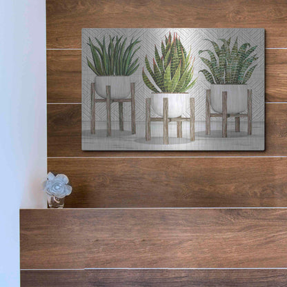Luxe Metal Art 'Succulent Trio on Stands' by Cindy Jacobs, Metal Wall Art,16x12