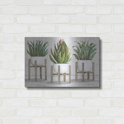 Luxe Metal Art 'Succulent Trio on Stands' by Cindy Jacobs, Metal Wall Art,24x16