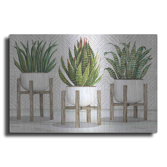 Luxe Metal Art 'Succulent Trio on Stands' by Cindy Jacobs, Metal Wall Art