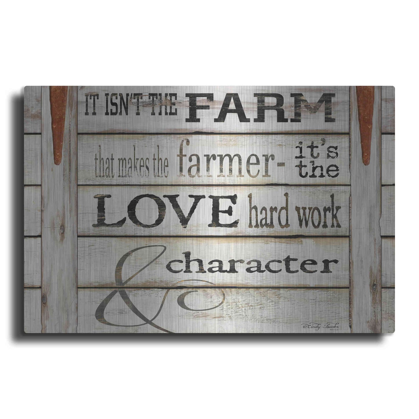 Luxe Metal Art 'It Isn't the Farm' by Cindy Jacobs, Metal Wall Art
