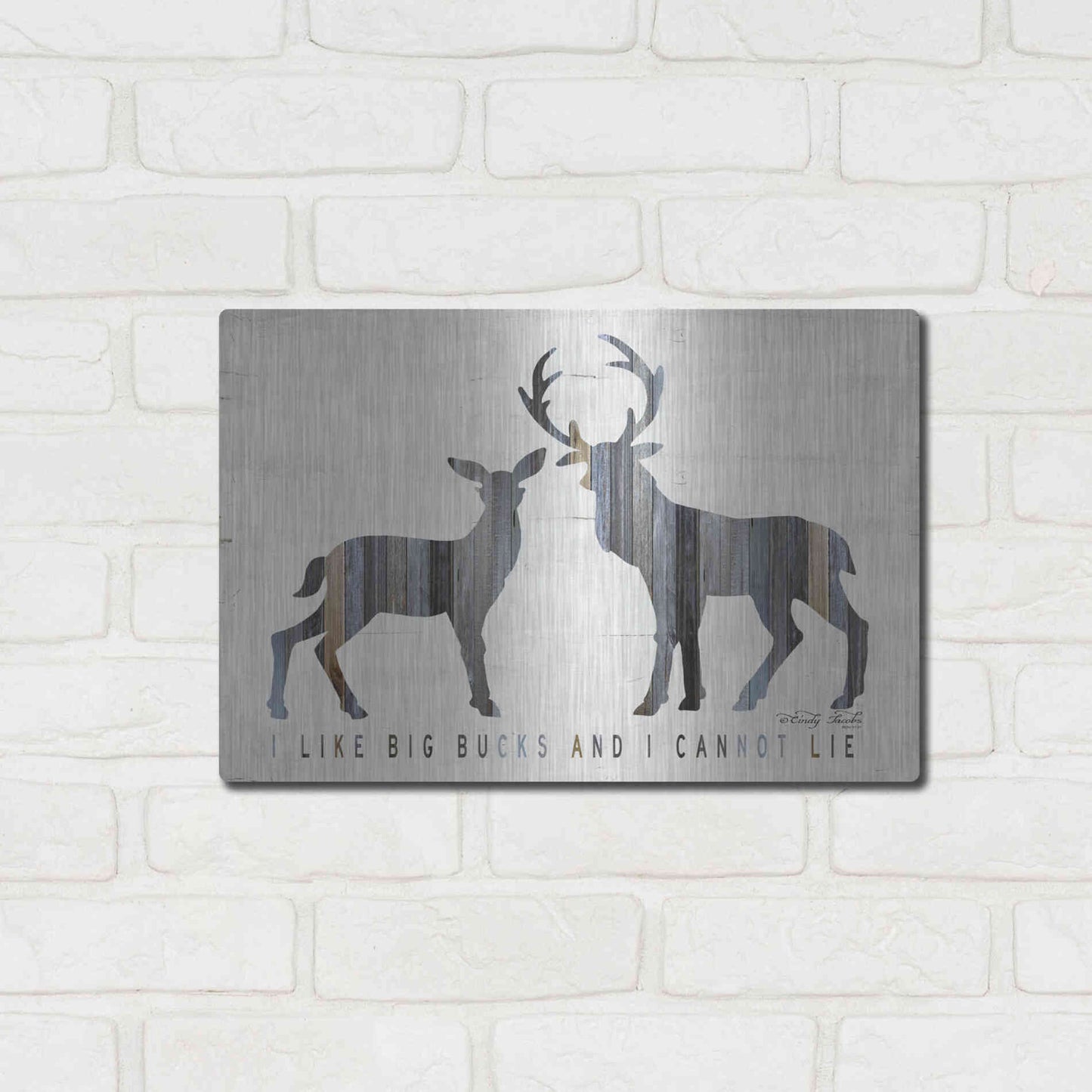 Luxe Metal Art 'I Like Big Bucks' by Cindy Jacobs, Metal Wall Art,16x12