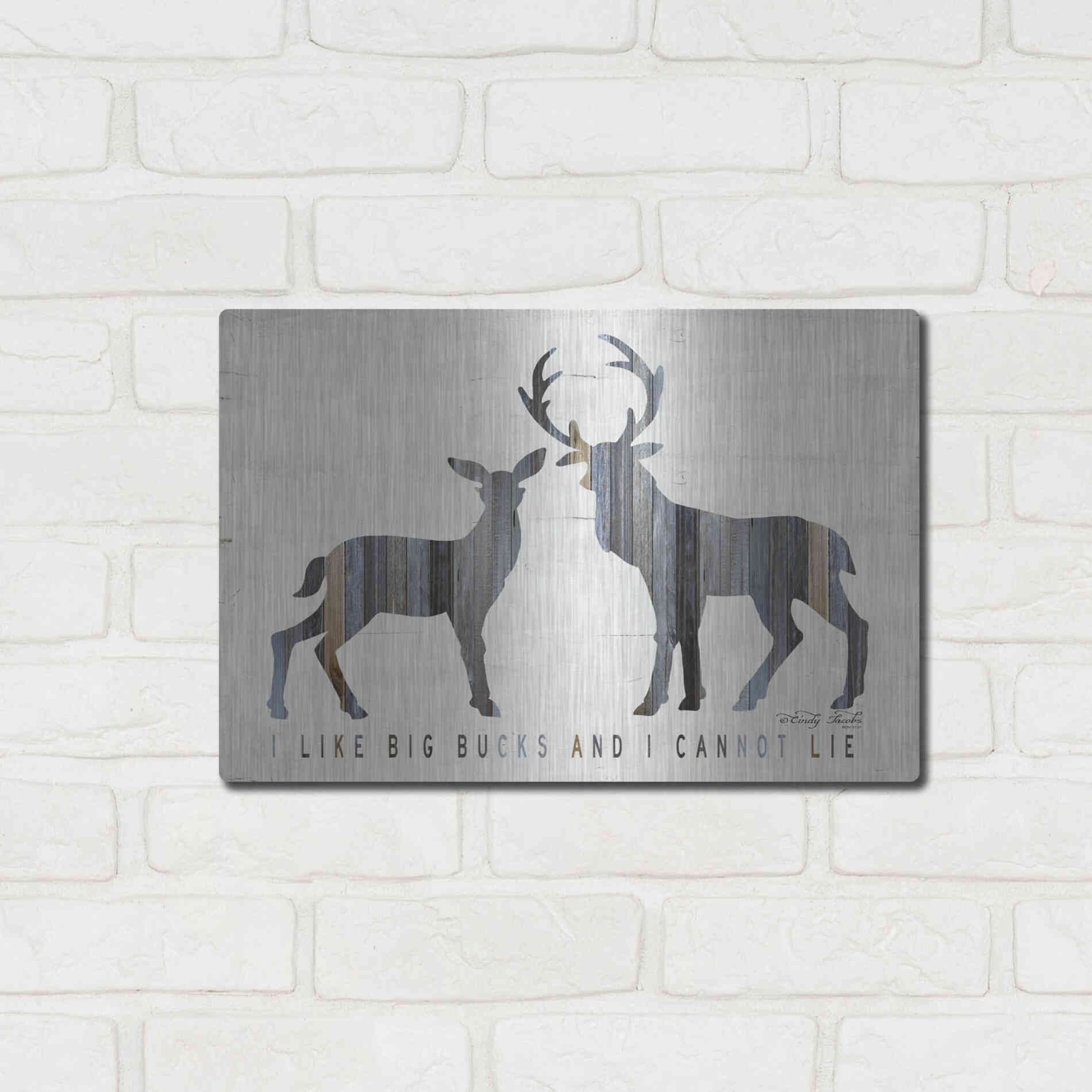 Luxe Metal Art 'I Like Big Bucks' by Cindy Jacobs, Metal Wall Art,16x12