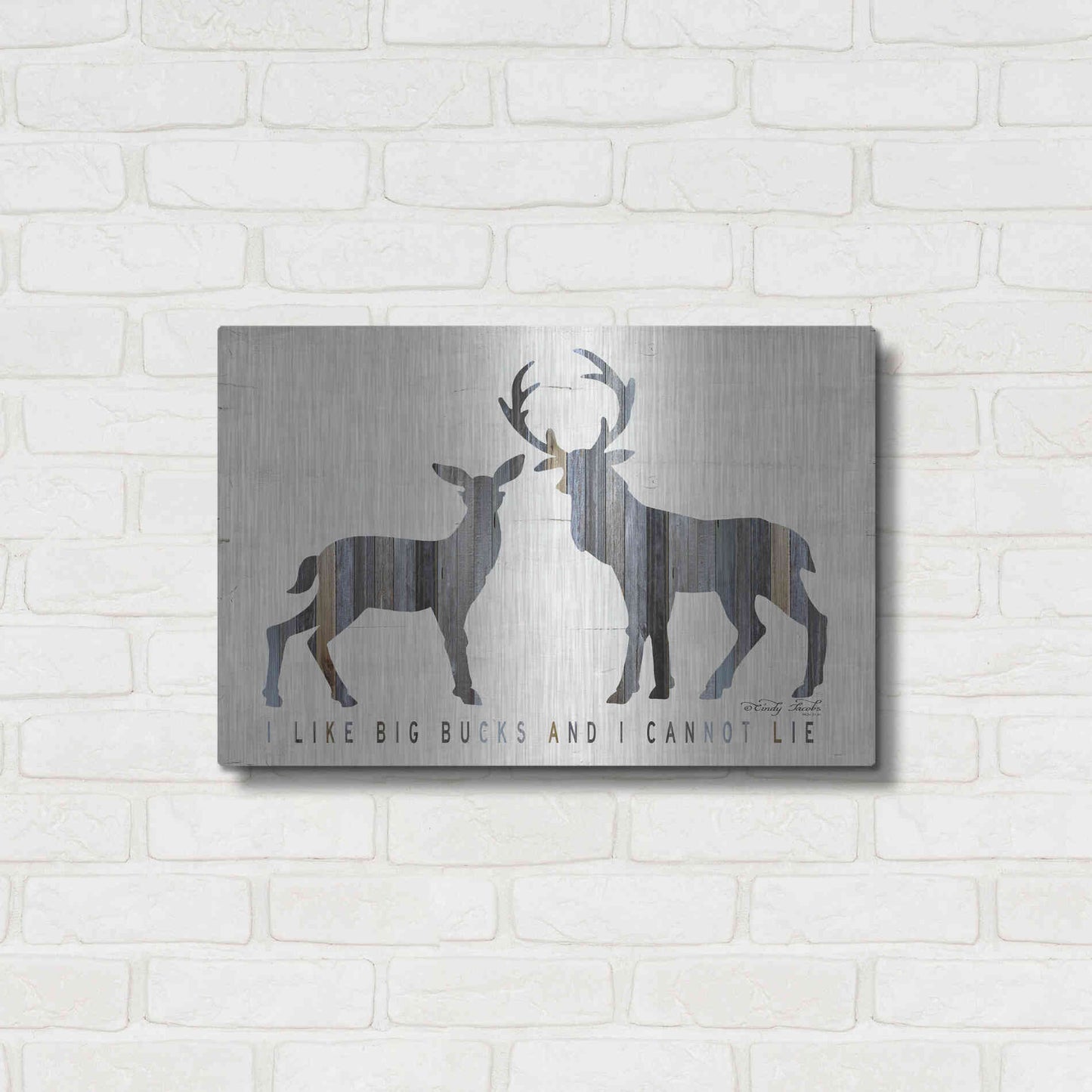 Luxe Metal Art 'I Like Big Bucks' by Cindy Jacobs, Metal Wall Art,24x16