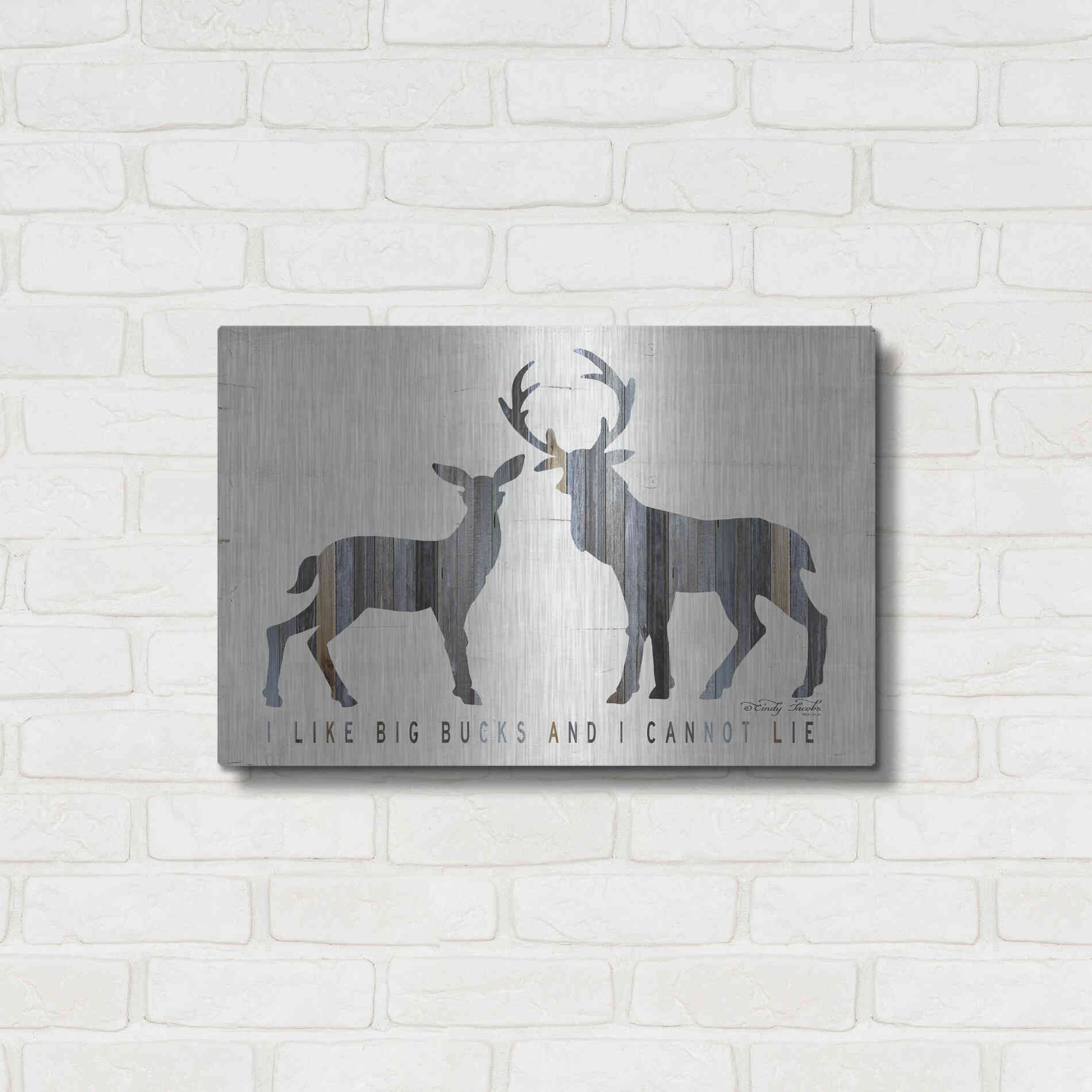 Luxe Metal Art 'I Like Big Bucks' by Cindy Jacobs, Metal Wall Art,24x16