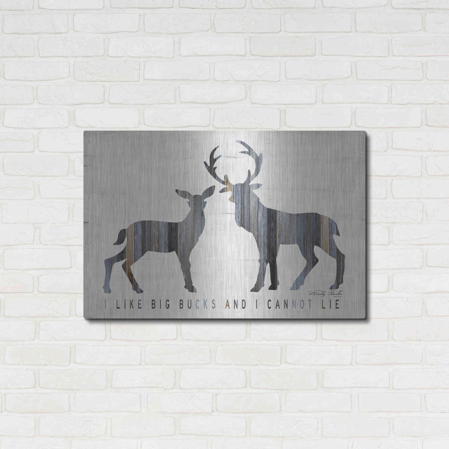 Luxe Metal Art 'I Like Big Bucks' by Cindy Jacobs, Metal Wall Art,36x24