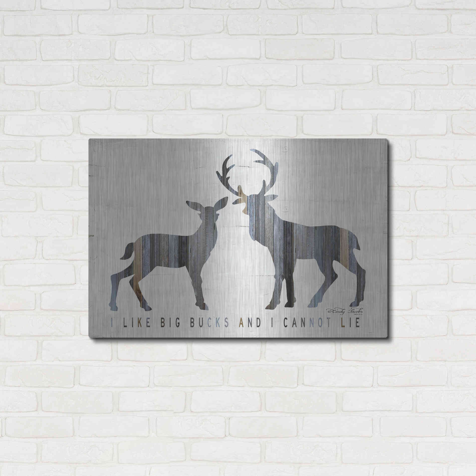 Luxe Metal Art 'I Like Big Bucks' by Cindy Jacobs, Metal Wall Art,36x24