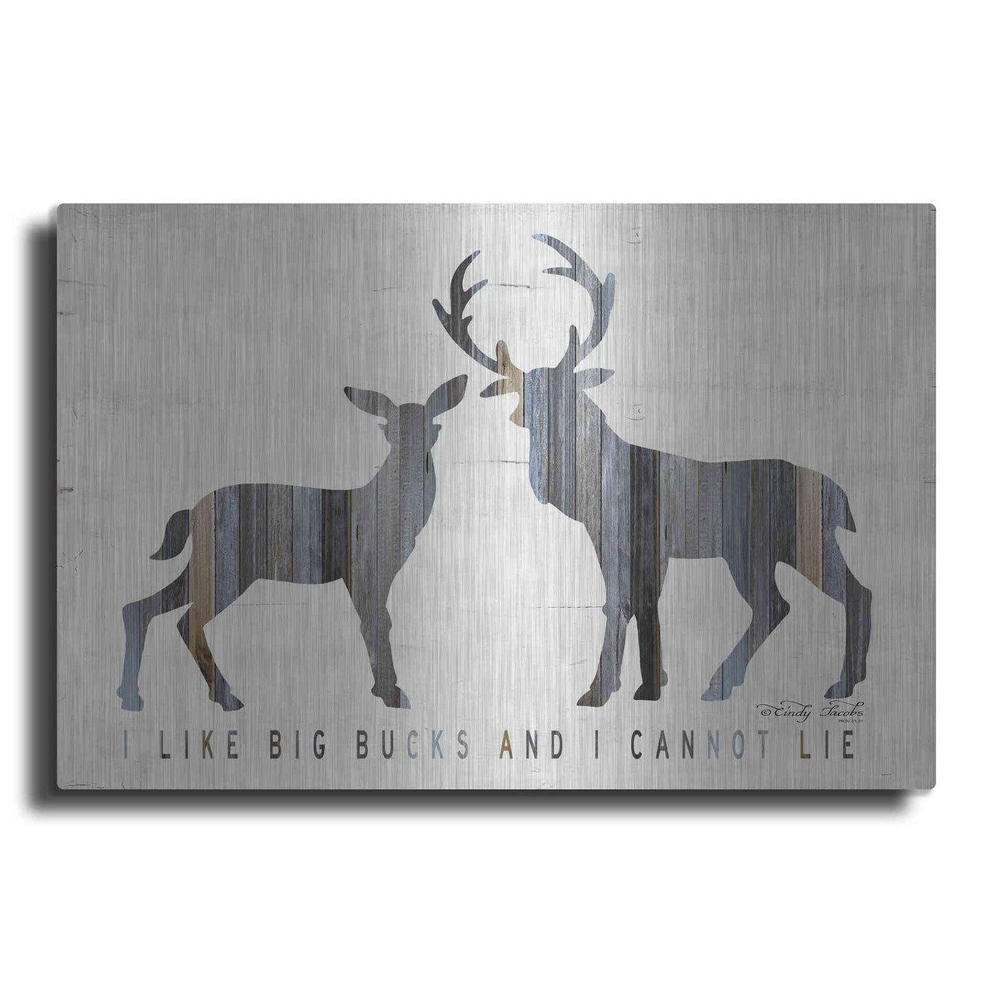Luxe Metal Art 'I Like Big Bucks' by Cindy Jacobs, Metal Wall Art