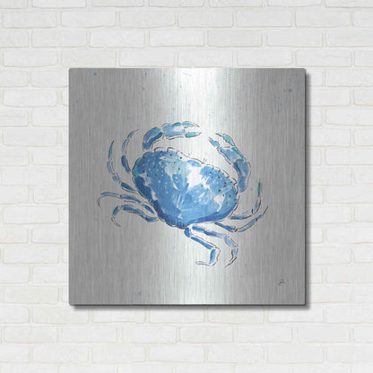 Luxe Metal Art 'Maritime X' by Daphne Brissonet, Metal Wall Art,36x36