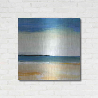 Luxe Metal Art 'Seascape 2' by Niki Arden, Metal Wall Art,36x36