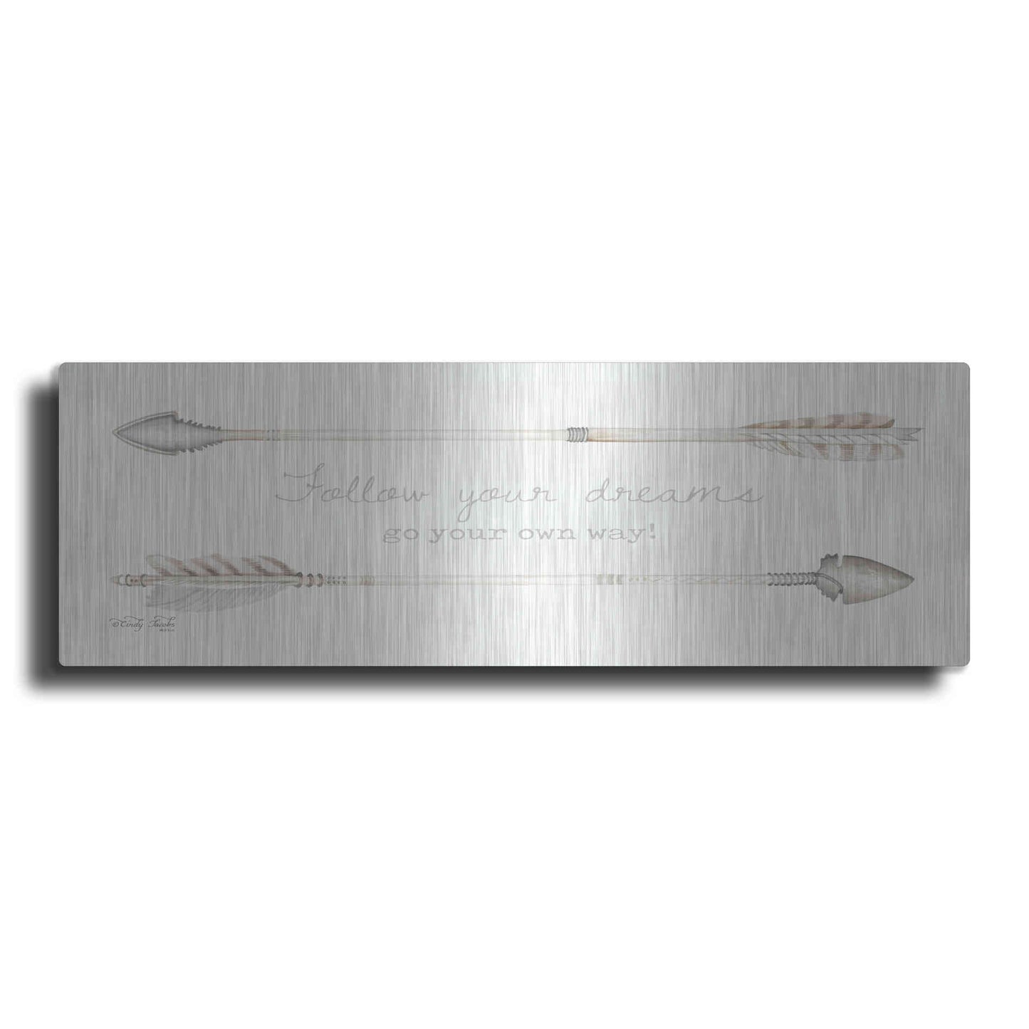 Luxe Metal Art 'Arrows - Follow Your Dreams' by Cindy Jacobs, Metal Wall Art