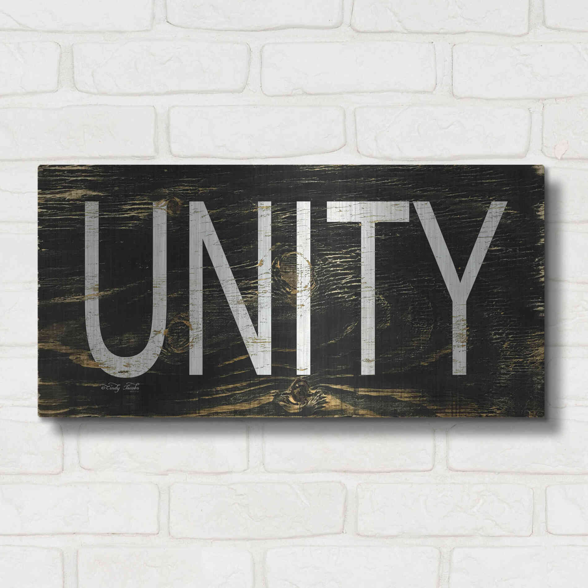 Luxe Metal Art 'Unity' by Cindy Jacobs, Metal Wall Art,24x12