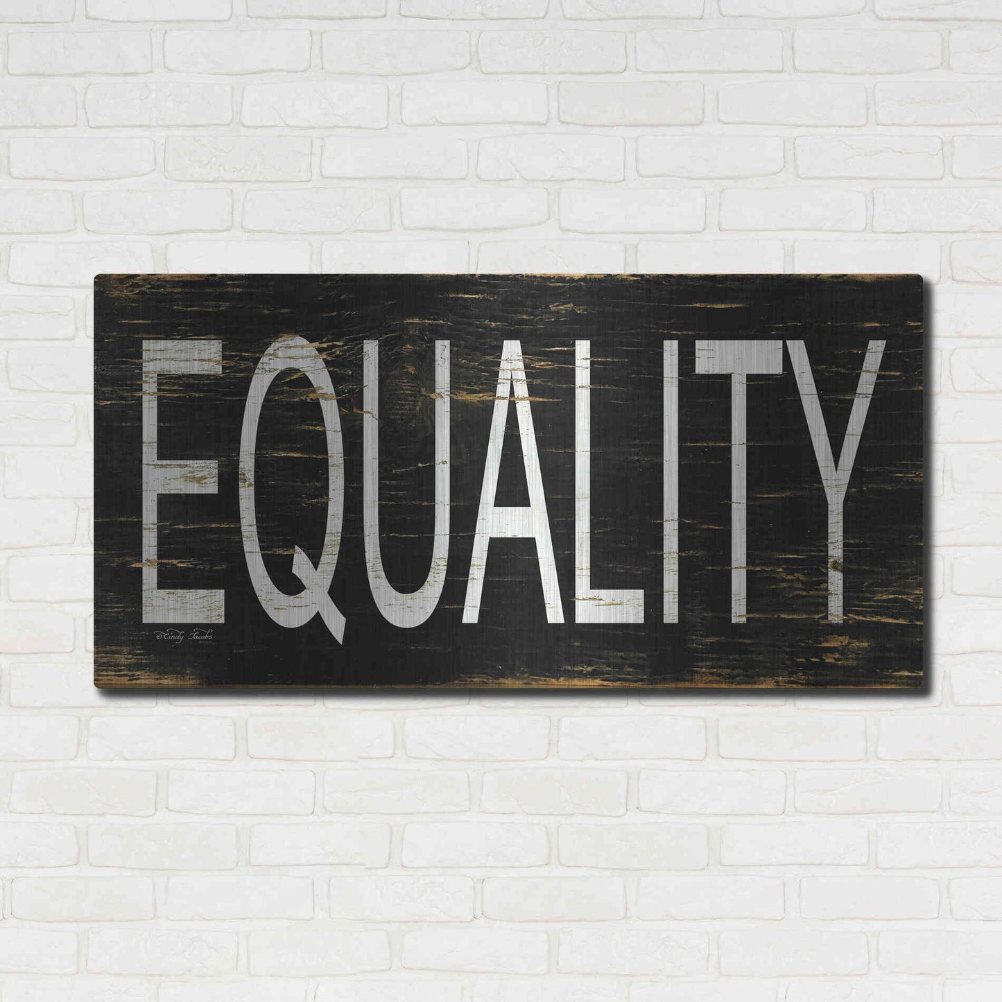 Luxe Metal Art 'Equality' by Cindy Jacobs, Metal Wall Art,48x24