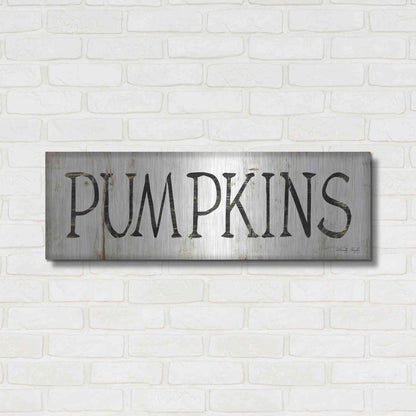 Luxe Metal Art 'Pumpkins' by Cindy Jacobs, Metal Wall Art,36x12