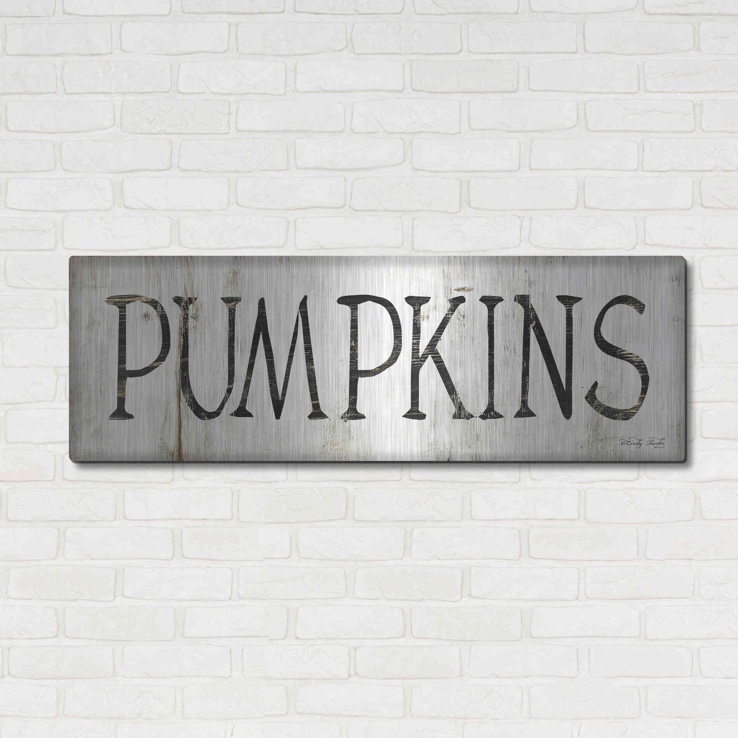 Luxe Metal Art 'Pumpkins' by Cindy Jacobs, Metal Wall Art,48x16