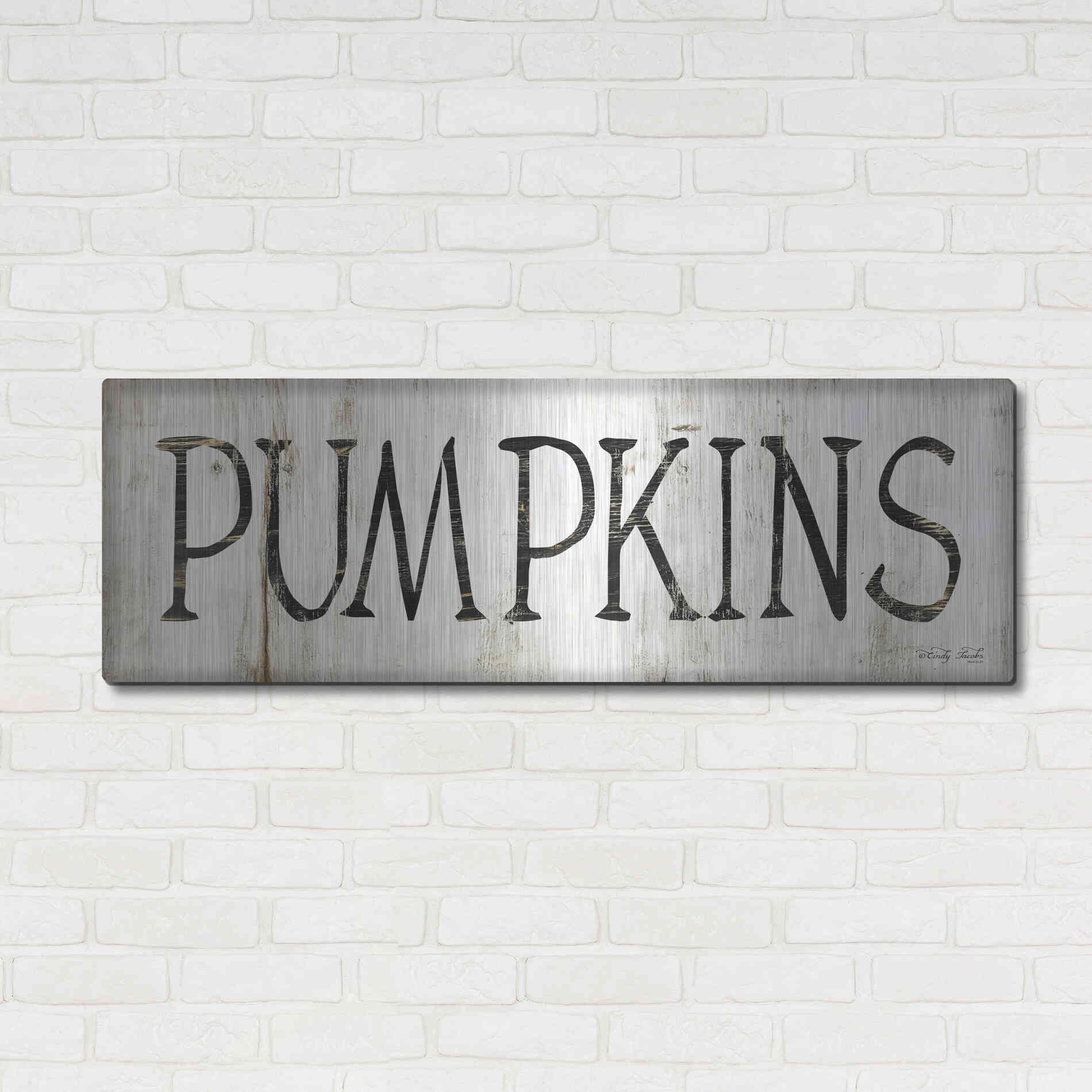 Luxe Metal Art 'Pumpkins' by Cindy Jacobs, Metal Wall Art,48x16