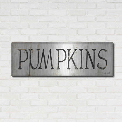 Luxe Metal Art 'Pumpkins' by Cindy Jacobs, Metal Wall Art,48x16