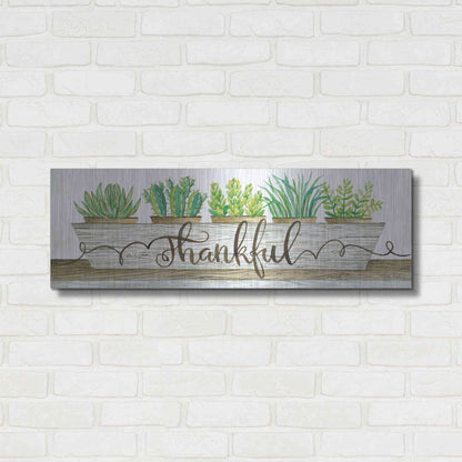 Luxe Metal Art 'Thankful Succulent Pots' by Cindy Jacobs, Metal Wall Art,36x12