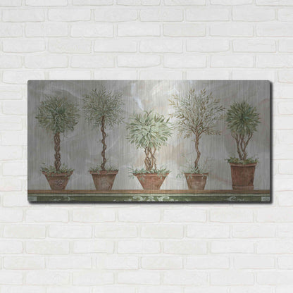 Luxe Metal Art 'Topiaries in a Row' by Cindy Jacobs, Metal Wall Art,48x24