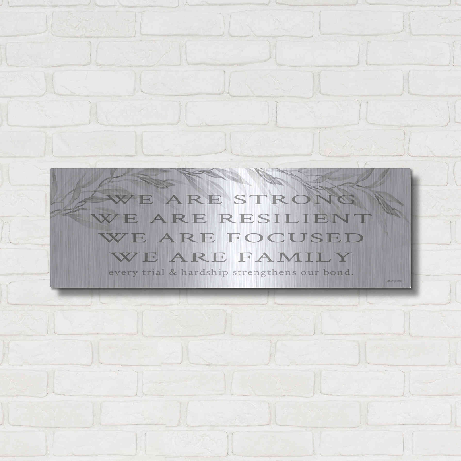 Luxe Metal Art 'We Are Family' by Cindy Jacobs, Metal Wall Art,36x12