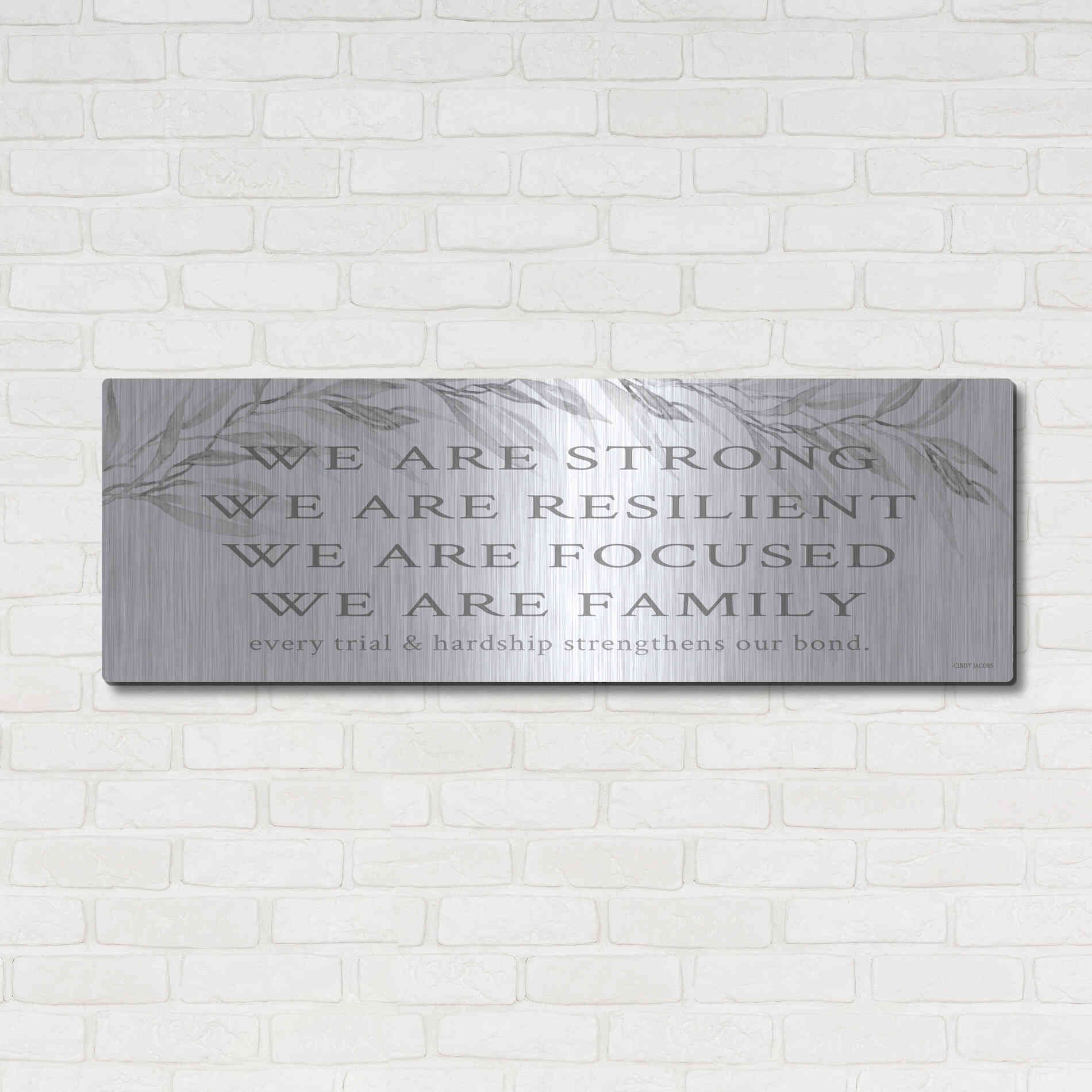 Luxe Metal Art 'We Are Family' by Cindy Jacobs, Metal Wall Art,48x16