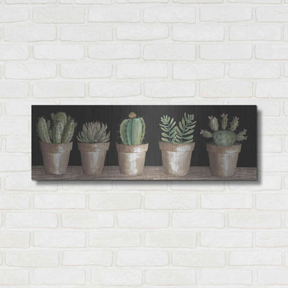 Luxe Metal Art 'Cactus Row' by Cindy Jacobs, Metal Wall Art,36x12