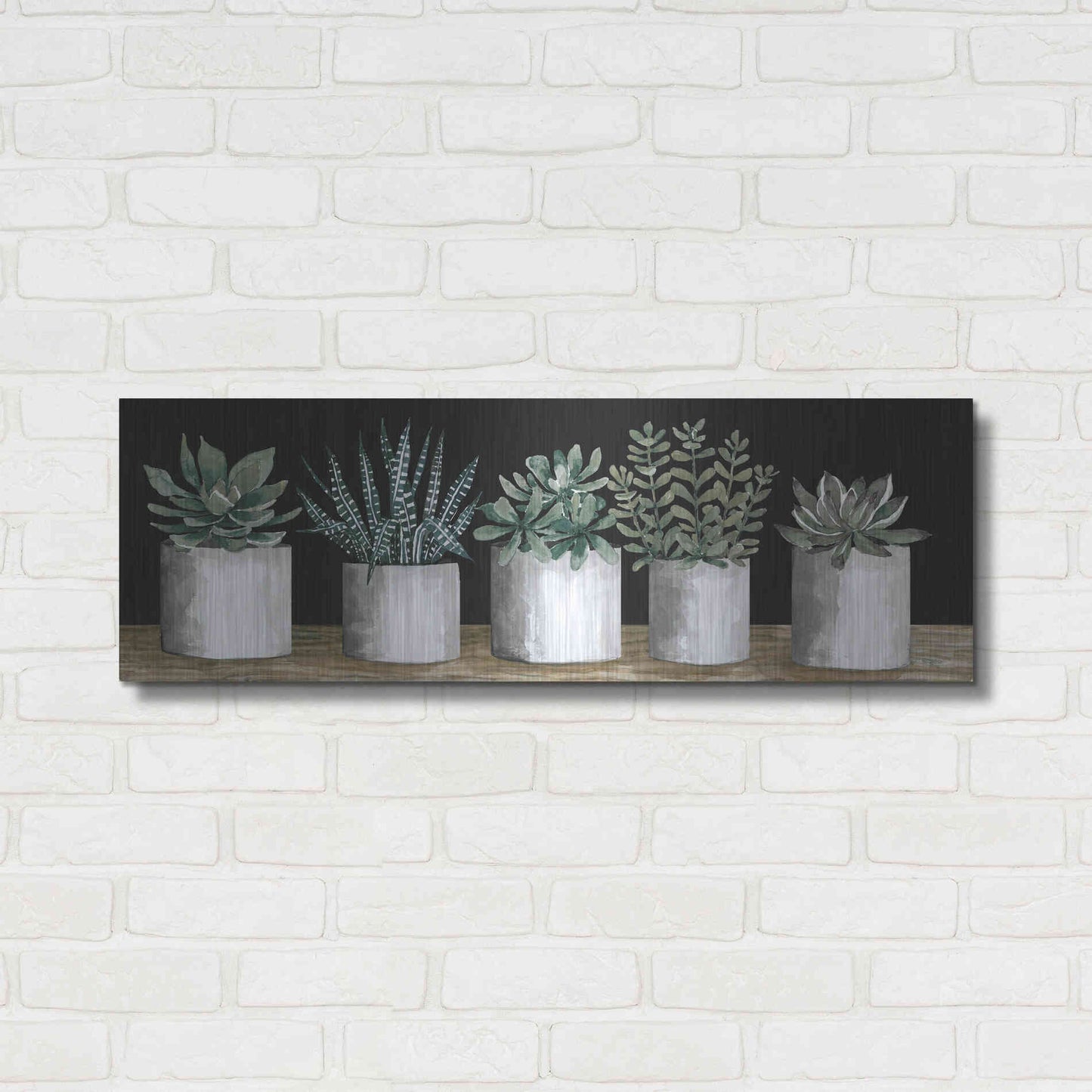 Luxe Metal Art 'Succulent Row' by Cindy Jacobs, Metal Wall Art,36x12