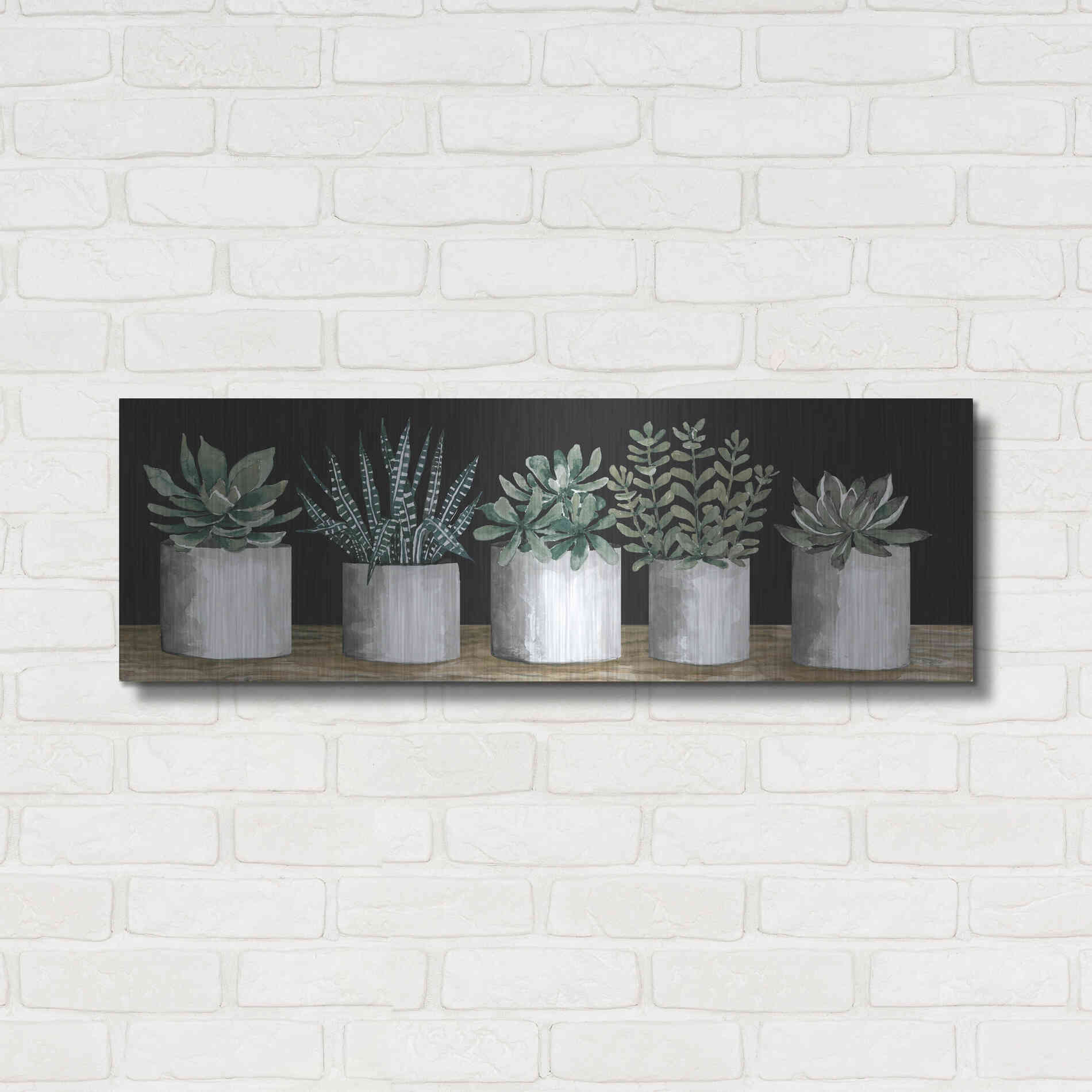 Luxe Metal Art 'Succulent Row' by Cindy Jacobs, Metal Wall Art,36x12