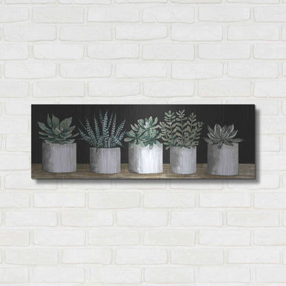 Luxe Metal Art 'Succulent Row' by Cindy Jacobs, Metal Wall Art,36x12