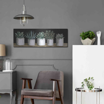 Luxe Metal Art 'Succulent Row' by Cindy Jacobs, Metal Wall Art,36x12