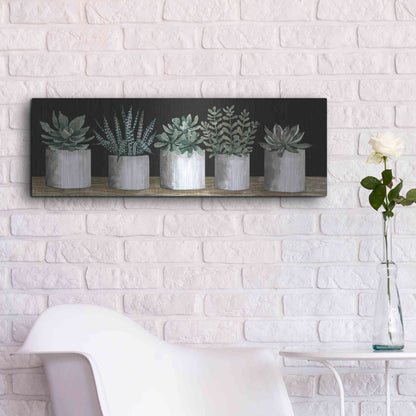 Luxe Metal Art 'Succulent Row' by Cindy Jacobs, Metal Wall Art,36x12