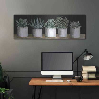 Luxe Metal Art 'Succulent Row' by Cindy Jacobs, Metal Wall Art,48x16