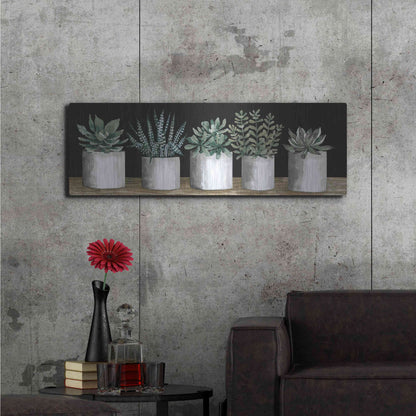 Luxe Metal Art 'Succulent Row' by Cindy Jacobs, Metal Wall Art,48x16