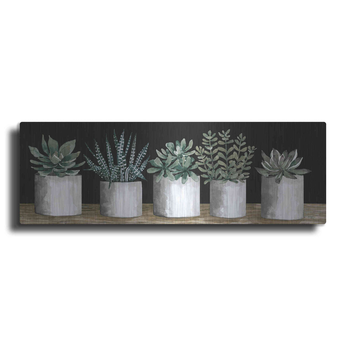 Luxe Metal Art 'Succulent Row' by Cindy Jacobs, Metal Wall Art