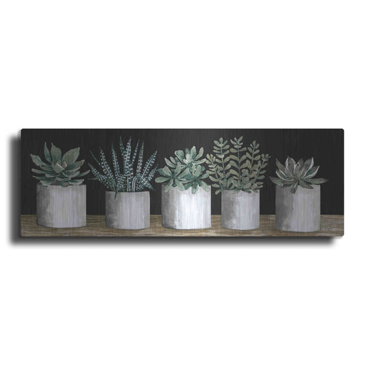 Luxe Metal Art 'Succulent Row' by Cindy Jacobs, Metal Wall Art