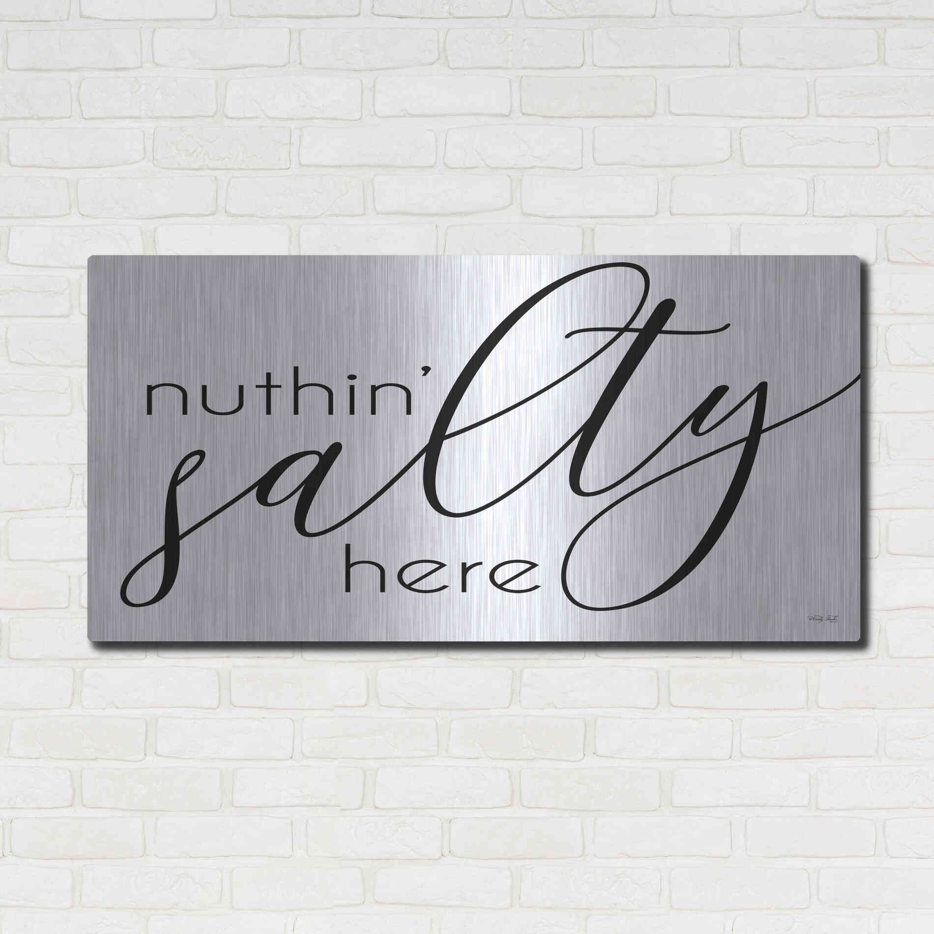Luxe Metal Art 'Nuth'n Salty Here' by Cindy Jacobs, Metal Wall Art,48x24