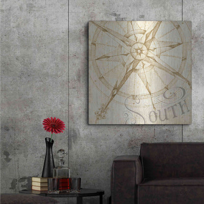 Luxe Metal Art 'Coast to Coast Sepia II' by Daphne Brissonet, Metal Wall Art,36x36