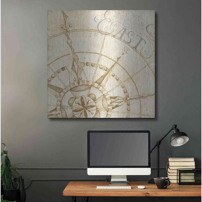 Luxe Metal Art 'Coast to Coast Sepia III' by Daphne Brissonet, Metal Wall Art,36x36