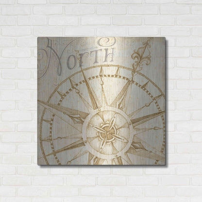 Luxe Metal Art 'Coast to Coast Sepia I' by Daphne Brissonet, Metal Wall Art,36x36