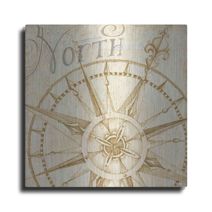 Luxe Metal Art 'Coast to Coast Sepia I' by Daphne Brissonet, Metal Wall Art