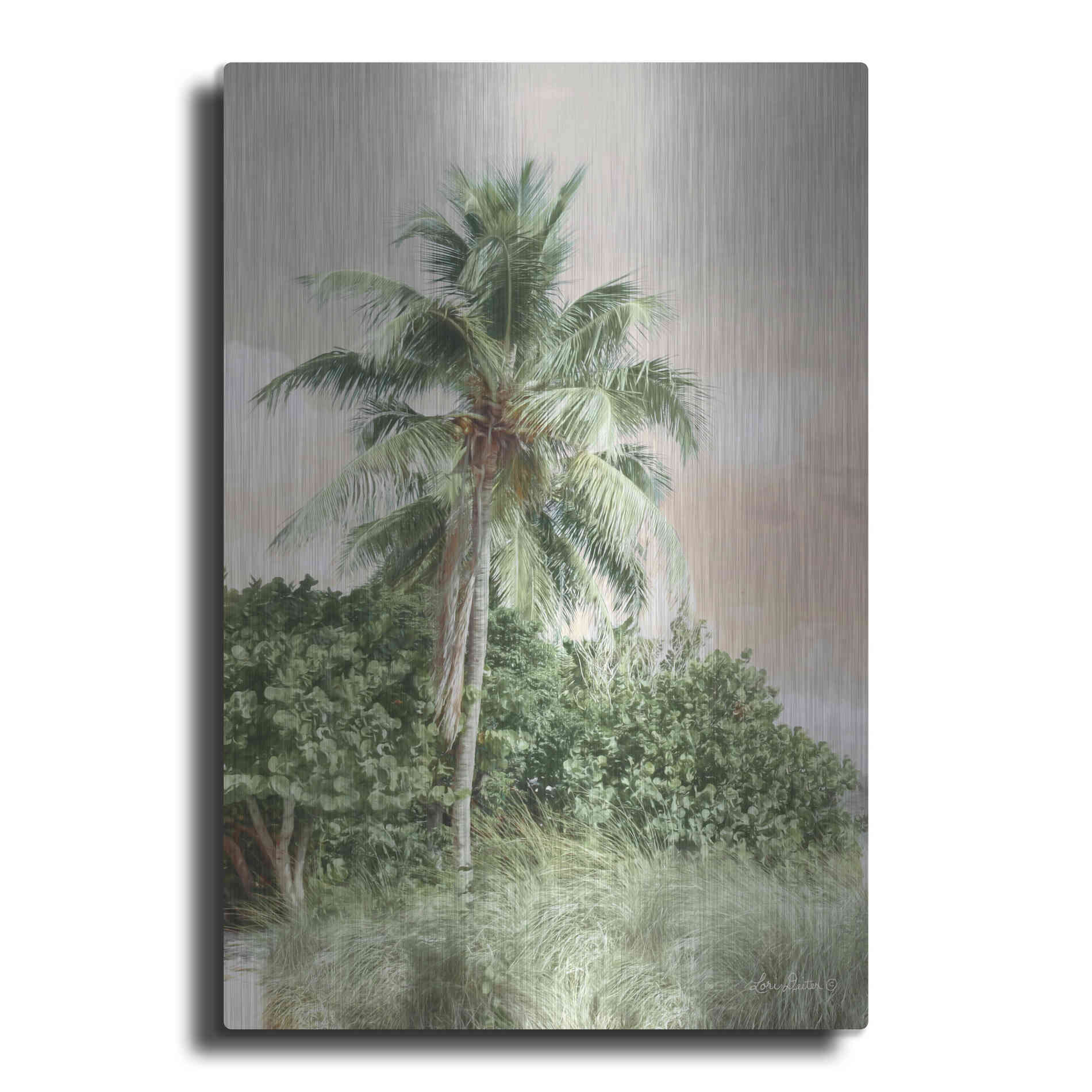 Luxe Metal Art 'Sanibel Island Palm' by Lori Deiter, Metal Wall Art