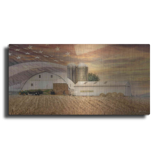 Luxe Metal Art 'American Farmland' by Lori Deiter, Metal Wall Art